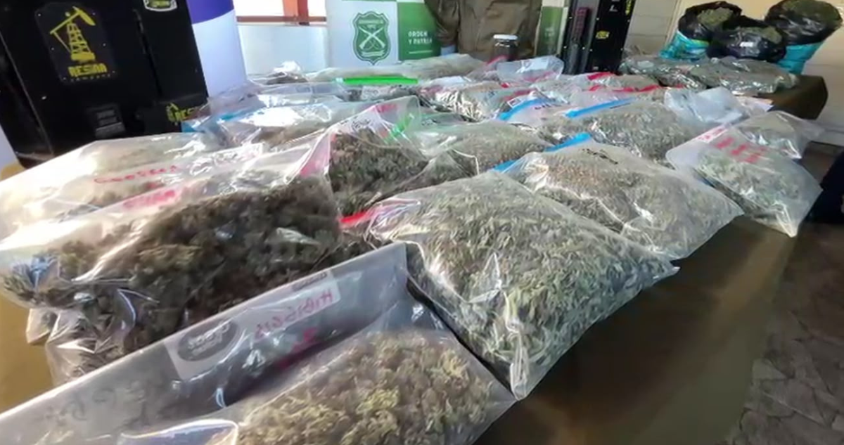 Tres detenidos deja operativo policial en Valdivia e incautan cerca de $220 millones en droga