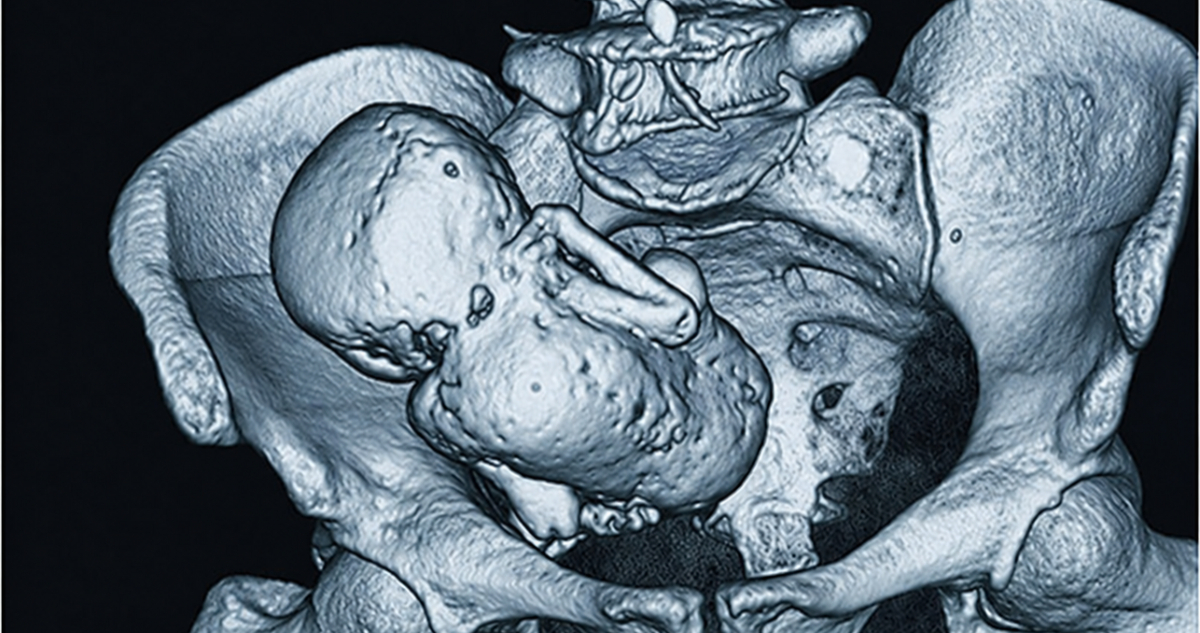 https://media.biobiochile.cl/wp-content/uploads/2026/10/fotojet-2026-10-29t104050-880.jpg