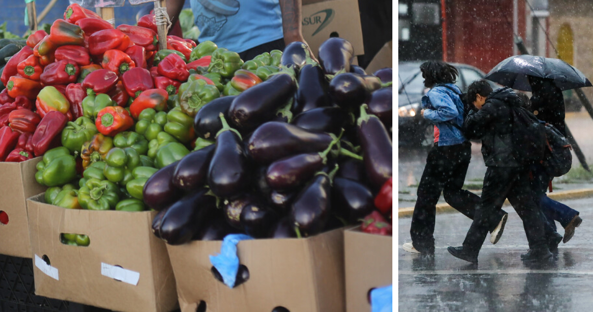 El agro reconoce atrasos en algunas siembras y cosechas ante las últimas lluvias