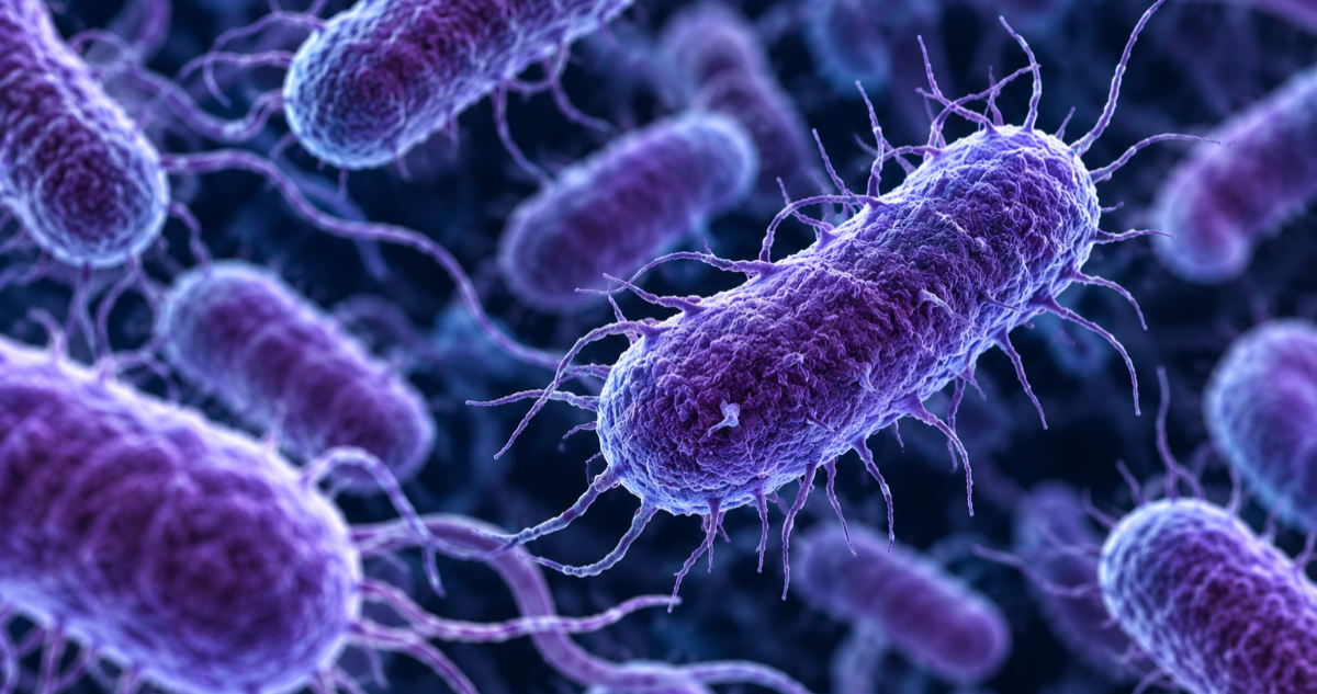 Proyecto chileno-norteamericano desarrolla tecnología para enfrentar resistencia a los antibióticos