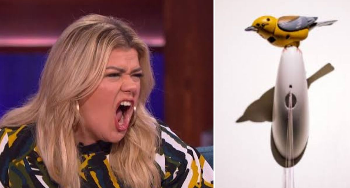 Kelly Clarkson desata insólita pelea con una tienda de Nueva York por un pájaro de más de $10 millones