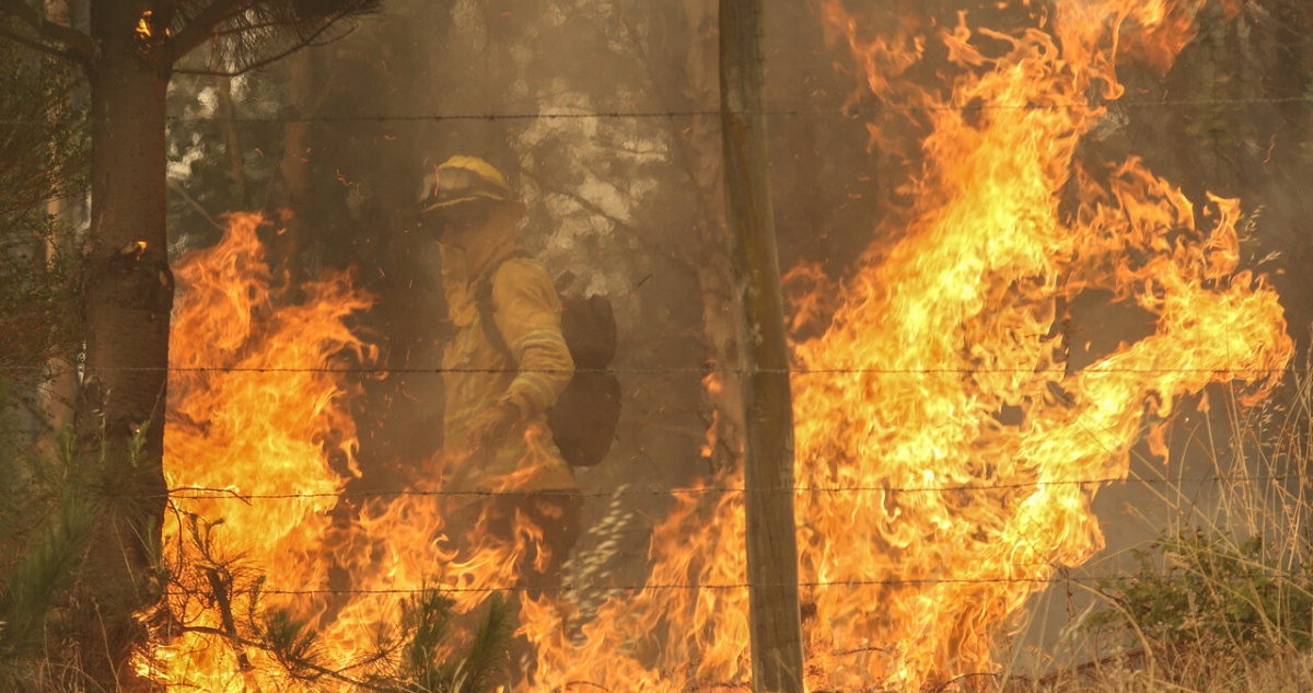 Ley de Incendios avanza en el Congreso: rechazan compensar a privados que incumplan con cortafuegos