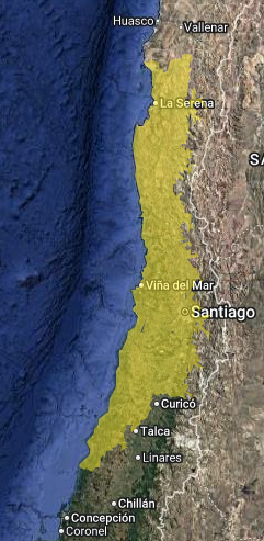 Sí, vuelven las lluvias a Santiago y la zona central la próxima semana: vendrían con viento y truenos