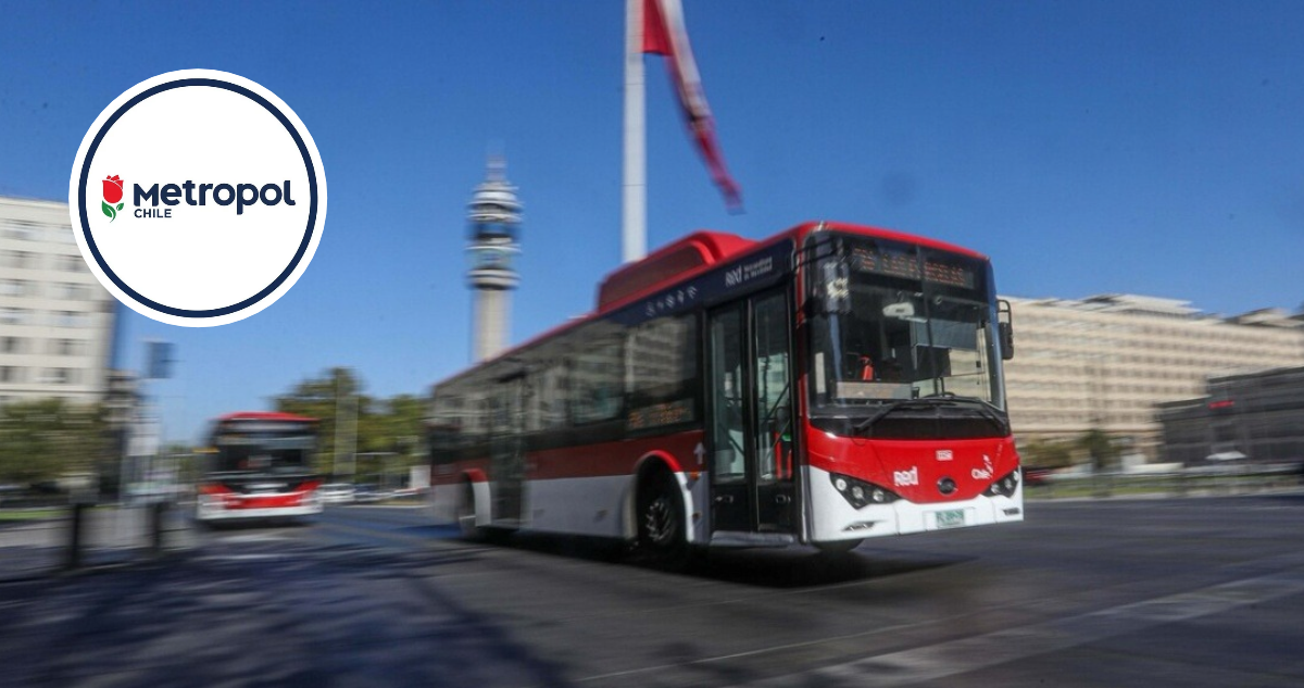 Tenían más de 50 recorridos: dos empresas operadoras del sistema RED se declaran en quiebra