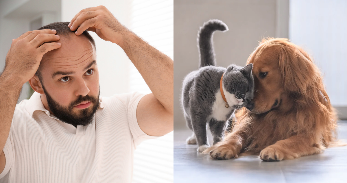 Alerta por minoxidil y mascotas