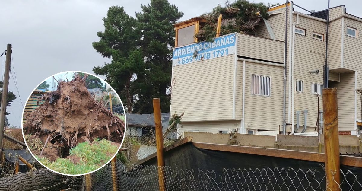 https://media.biobiochile.cl/wp-content/uploads/2026/10/mujer-atrapada-arbol-cayo-sobre-casa-.jpg