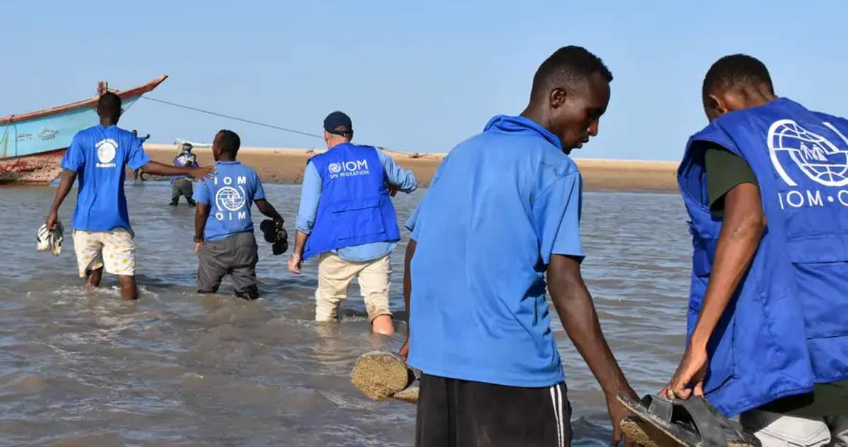 DW | International Organization for Migration