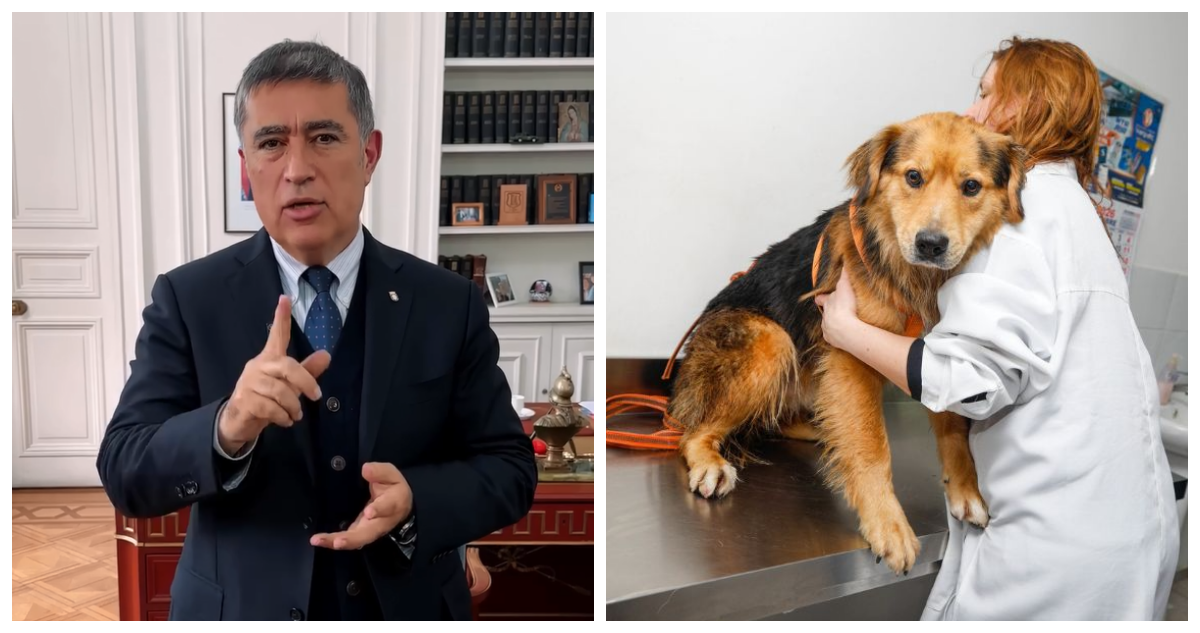 “No son los que resuelven”: Desbordes responde a críticas contra el municipio por adopción de Morocho