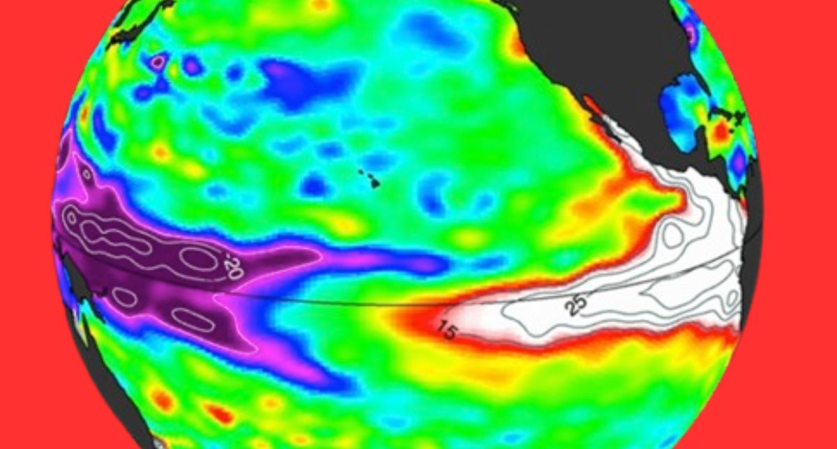 Ola gigante de agua caliente de miles de kilómetros amenaza estragos e inundar costa Oeste de EEUU