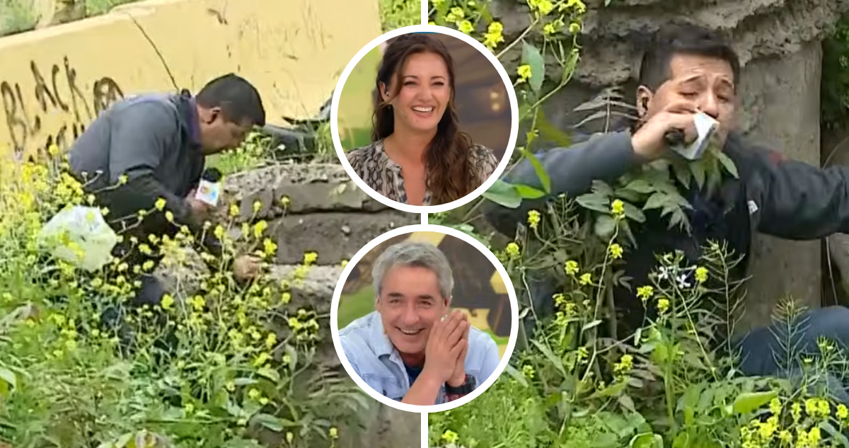 “Voy a ser meme”: Periodista de ‘Tu día’ sufrió caída mientras reporteaba y panel no aguantó la risa