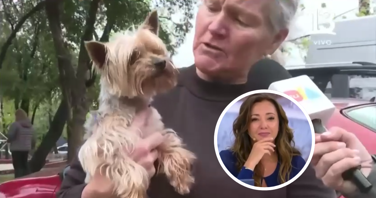 Teddy perrito rescatado Canal 13