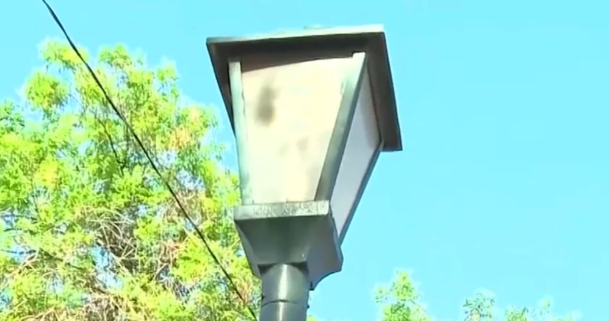 Perro muere electrocutado tras orinar en Conchalí: vecinos dicen que plaza está electrizada por poste