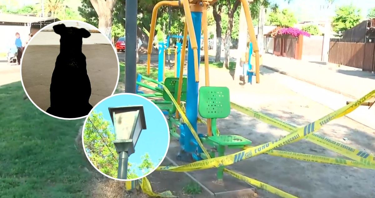 Perro muere electrocutado tras orinar en Conchalí: vecinos dicen que plaza está electrizada por poste