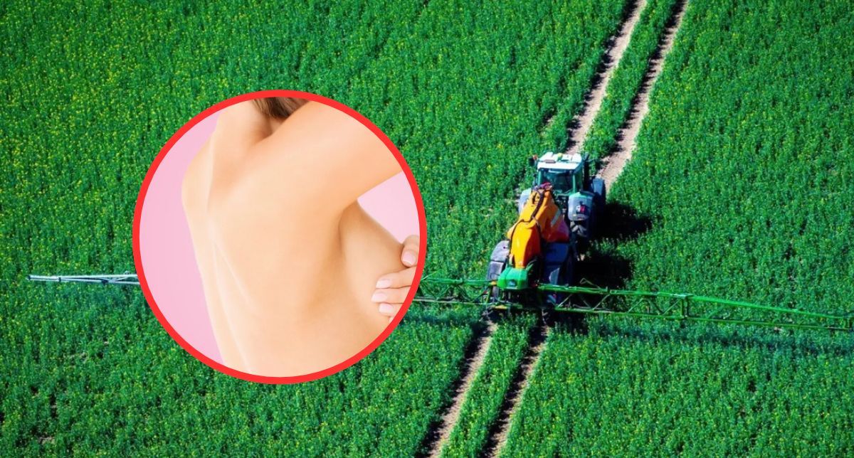 Detectan 485 químicos de pesticidas que aumentarían el cáncer de mama, presentes en alimentos y agua