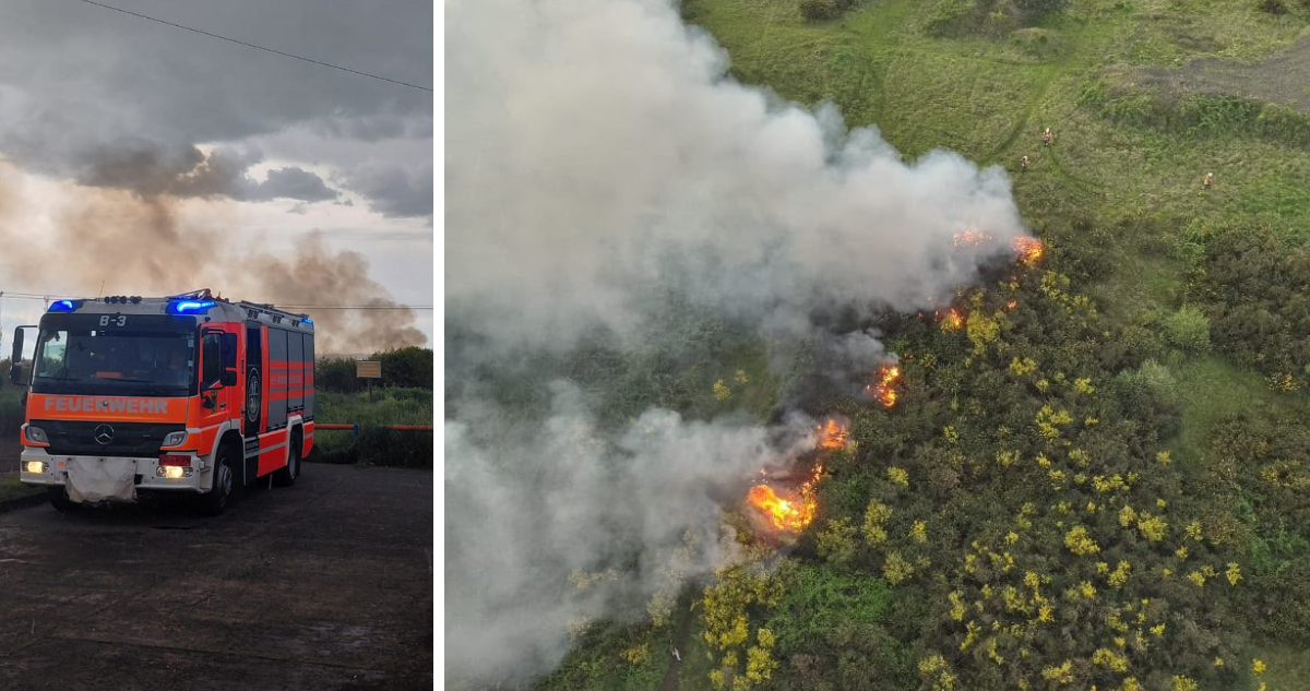 Rayo cae en área urbana de Temuco y provoca incendio de pastizales