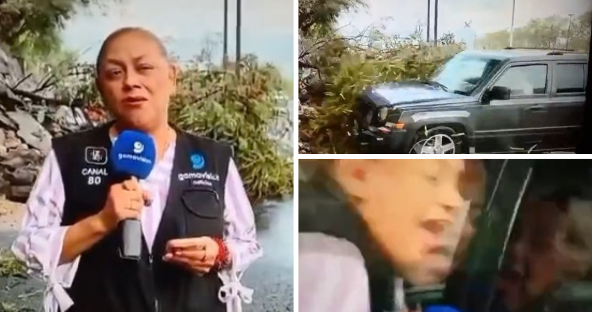 Revelan el estado de salud de la reportera y camarógrafo tras brutal atropello en México