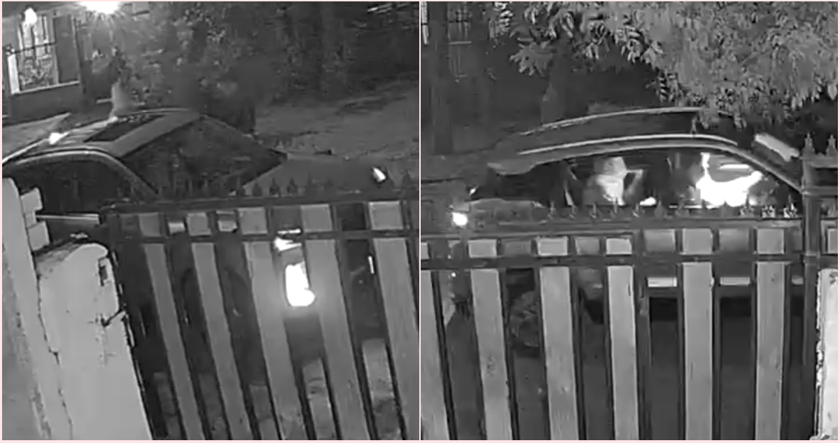 VIDEO | Delincuentes roban vehículo en Conchalí: vecinos denuncian escasa iluminación en el sector