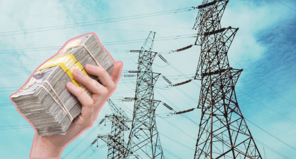 Clientes ahorran millones de dólares: Las baterías caseras reemplazan centrales eléctricas en EEUU