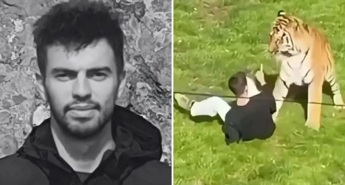 Revelan la causa de muerte del ex actor infantil atacado por un tigre en zoológico británico