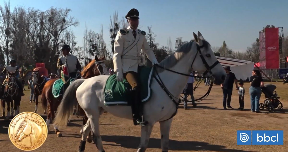 El Cuadro Verde de Carabineros de Chile