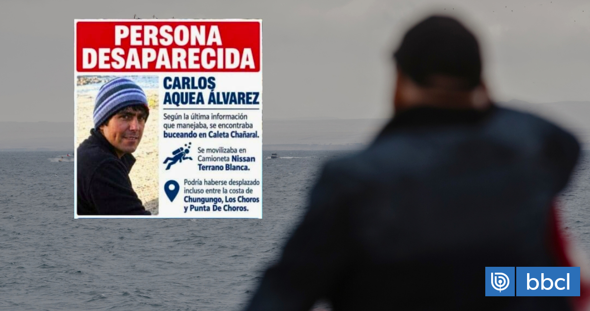 Hallan aletas y un arpón en medio de búsqueda de reconocido buzo extraviado en costa de Atacama