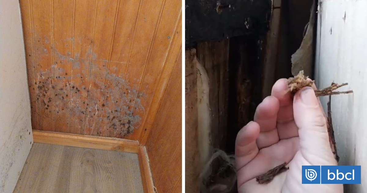 A menos de un año de su entrega: vecinos de Neltume en Panguipulli acusan diversos daños en viviendas