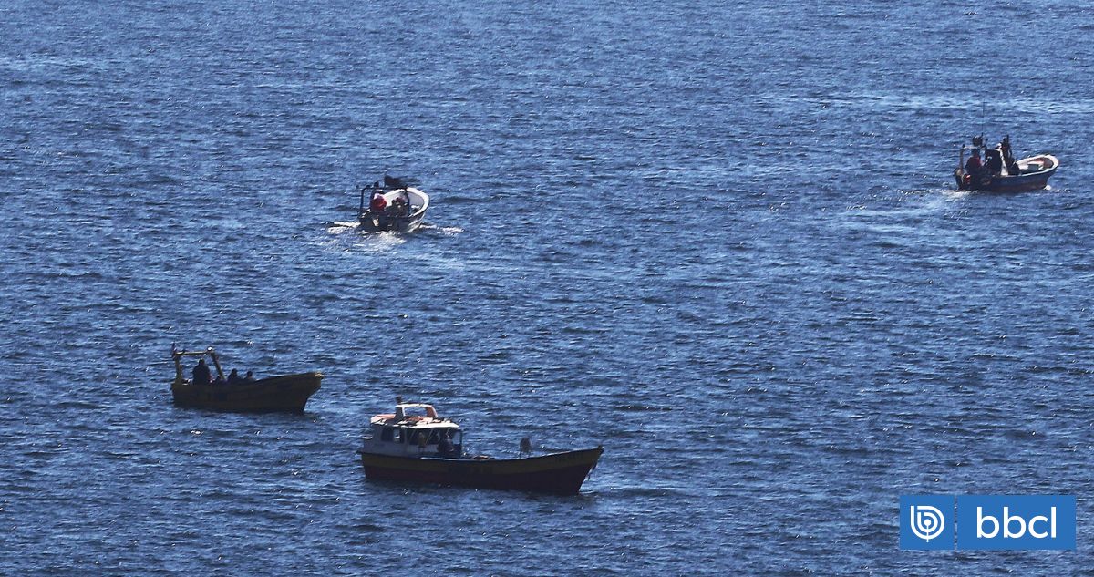 Detectan siete embarcaciones extrayendo merluza austral de manera ilegal en Aysén