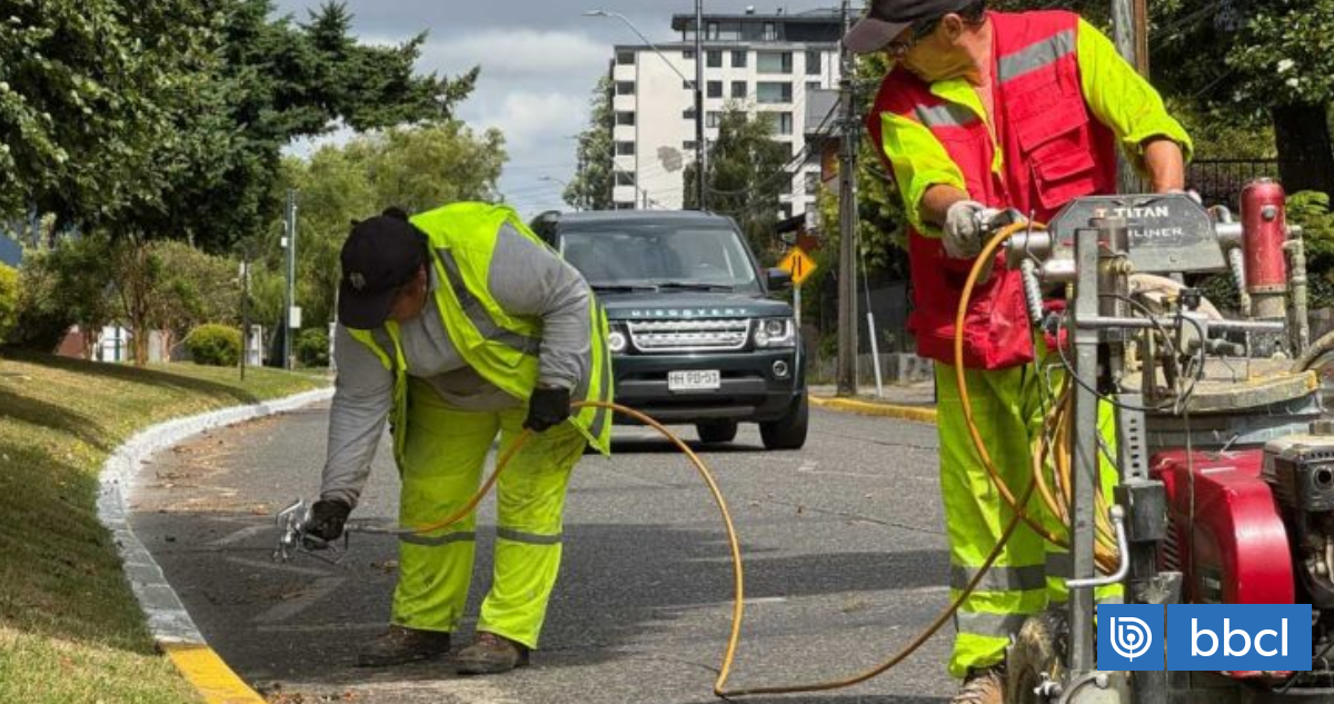 Estacionamientos gratis en Costanera de Valdivia reciben respaldo, críticas y propuestas de regulación