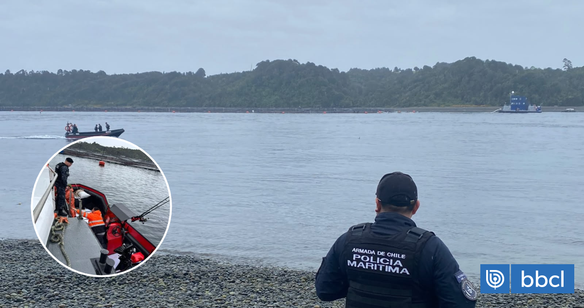 Denuncian sabotaje en centro de cultivo de salmones en Calbuco: red de jaula tenía corte de 15 metros