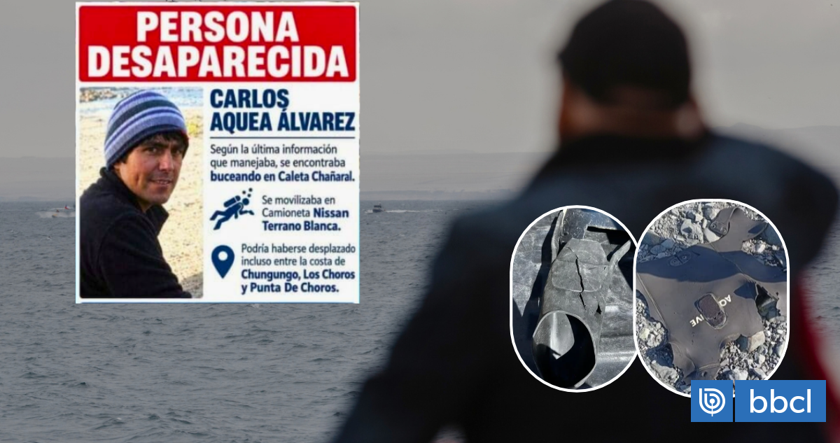 Tras hallazgos, no descartan hipótesis de ataque de tiburón a buzo desaparecido en costa de Atacama