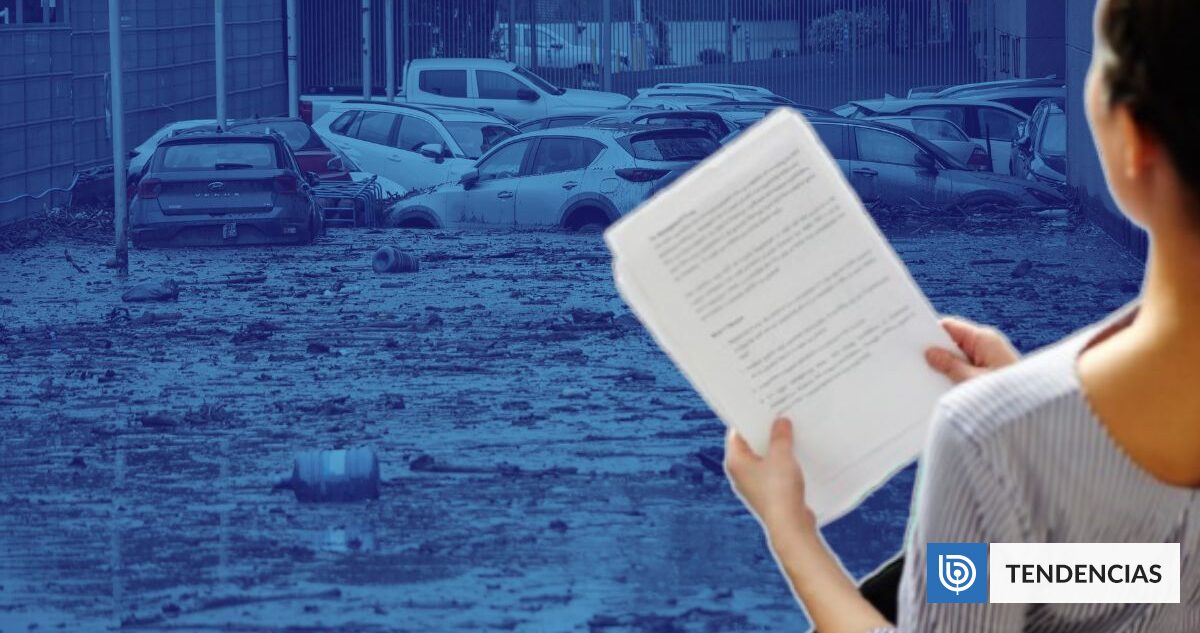 Estudios científicos advirtieron durante años el peligro de un aluvión en la zona oriente de Santiago