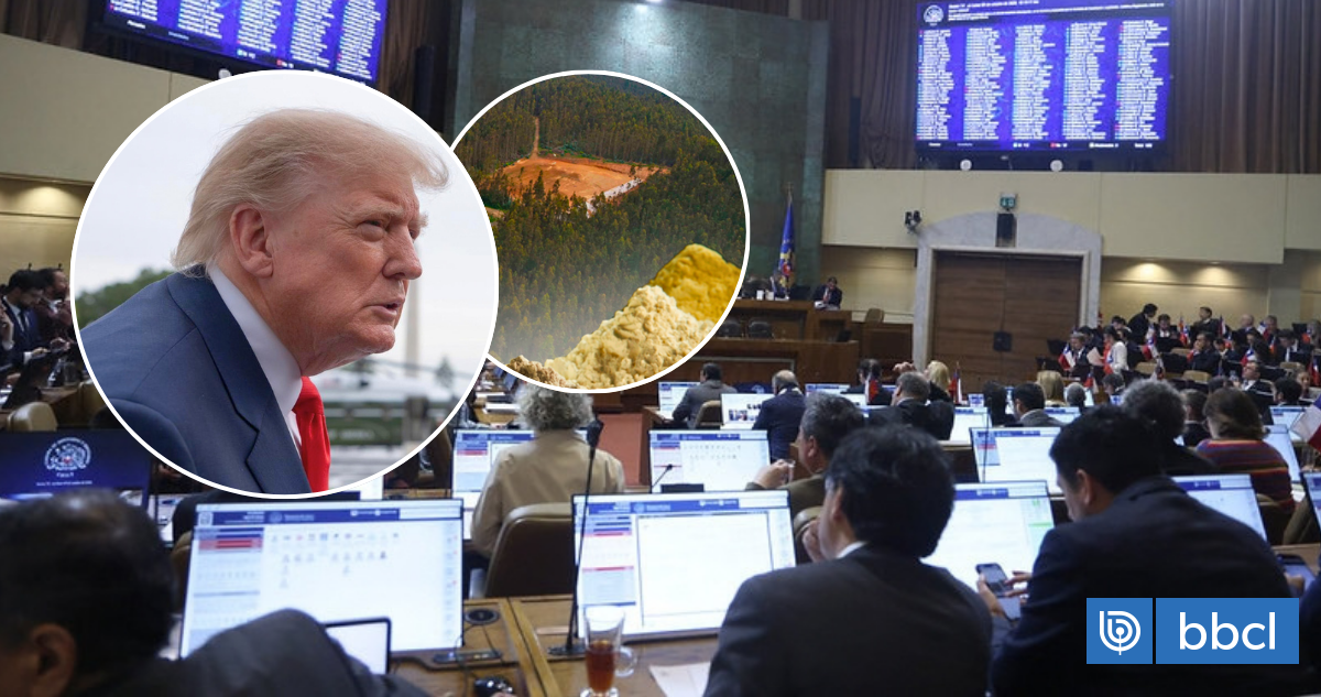 Cámara pide al Ejecutivo no comprometer soberanía en negociación con EEUU por minerales críticos