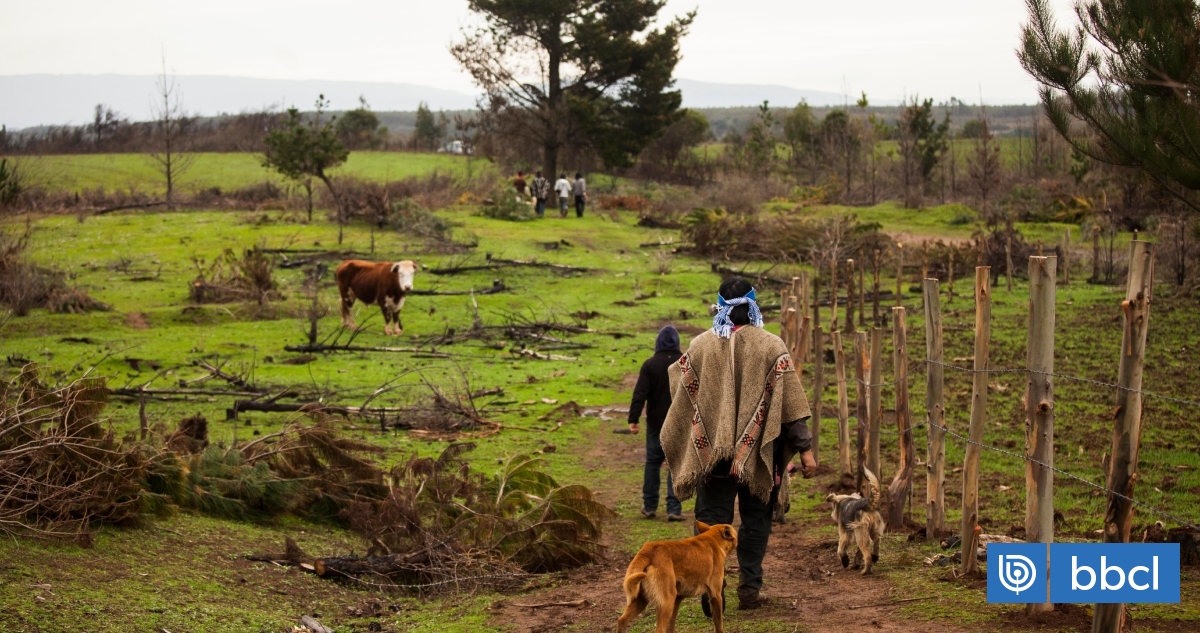 Consejeros mapuches advierten recorte en más de $20 mil millones en el fondo de tierras de Conadi