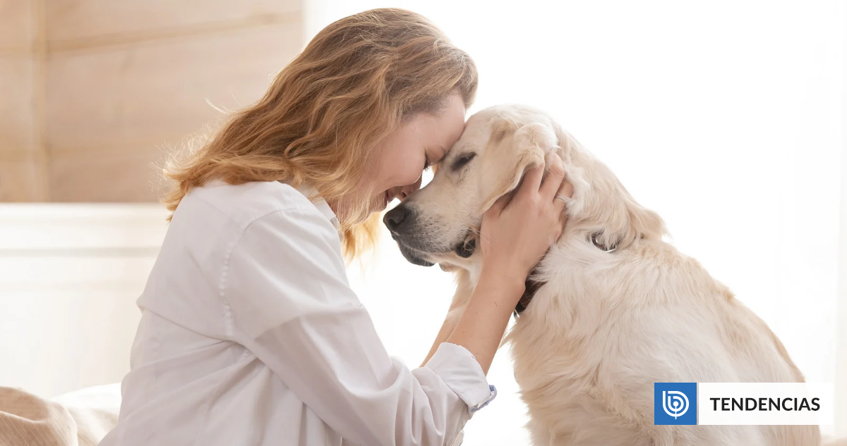 ¿Por qué los perros grandes viven menos que los pequeños? Científicos encuentran una posible respuesta