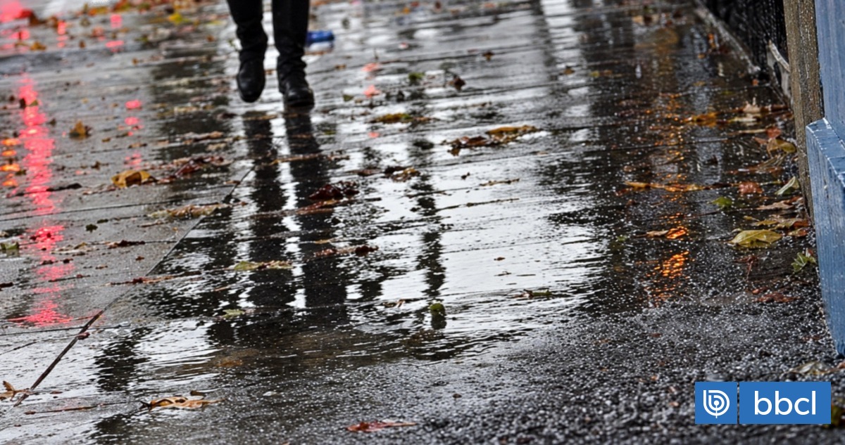 Diputado Bustos (REP) impulsa proyecto para dejar de botar agua de lluvia y aprovecharla como recurso
