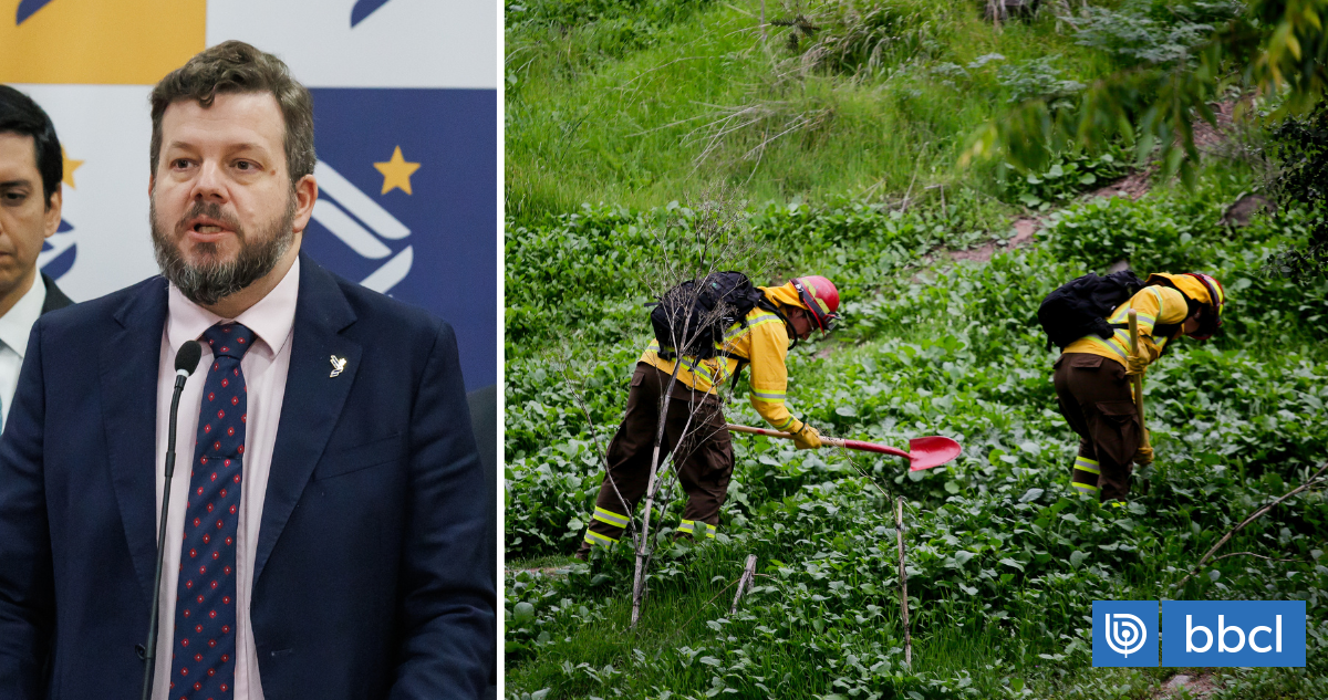 PNL propone invertir hasta US$300 millones en cuadrillas para prevenir incendios y enfrentar desempleo