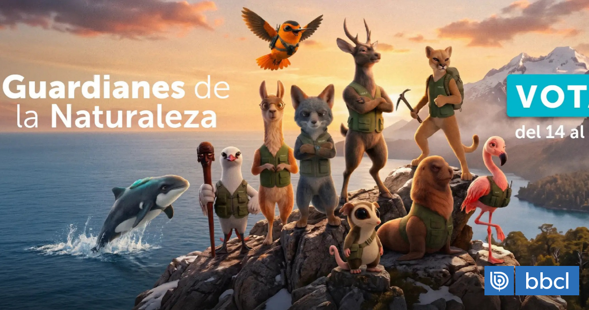 Guardianes de la Naturaleza: vota aquí para elegir a las 4 especies emblemáticas de Chile