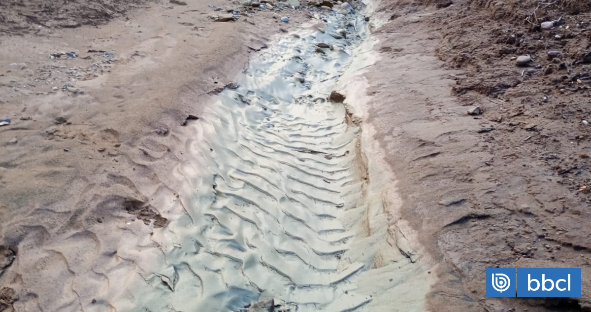Vecinos de sector Los Maitenes denuncian nuevos relaves de Minera Montecarmelo en Puchuncaví