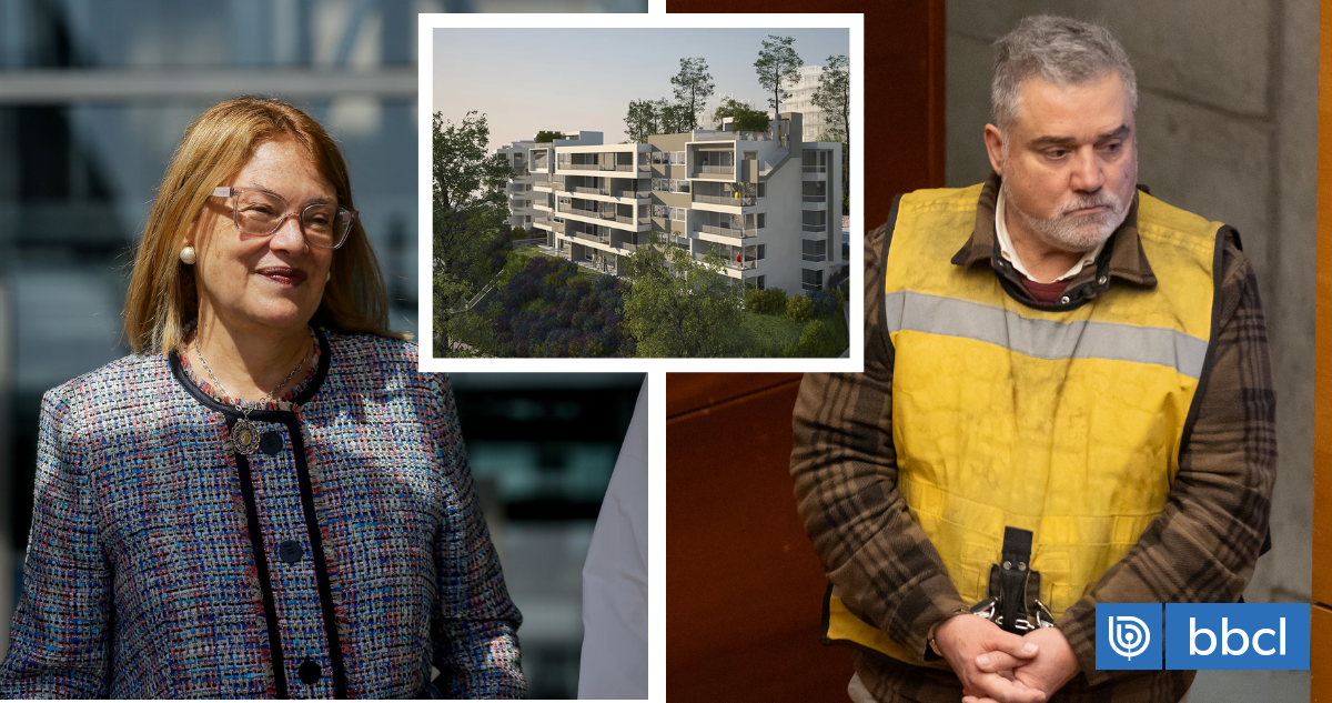Pagos ligados a Vivanco reabren polémica por fallo sobre Bosque de Reñaca: evalúan acciones judiciales