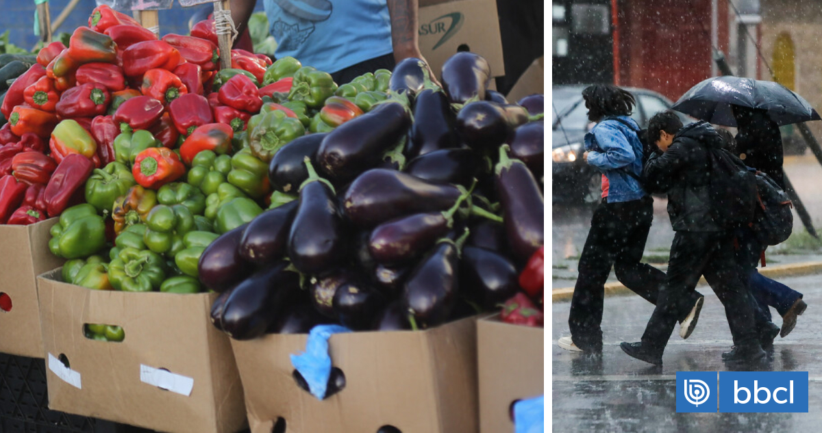 El agro reconoce atrasos en algunas siembras y cosechas ante las últimas lluvias