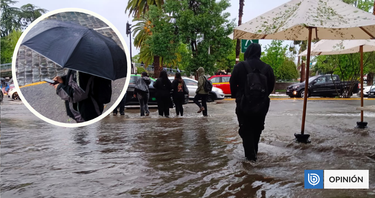 Cuando la ciudad colapsa y las redes se burlan
