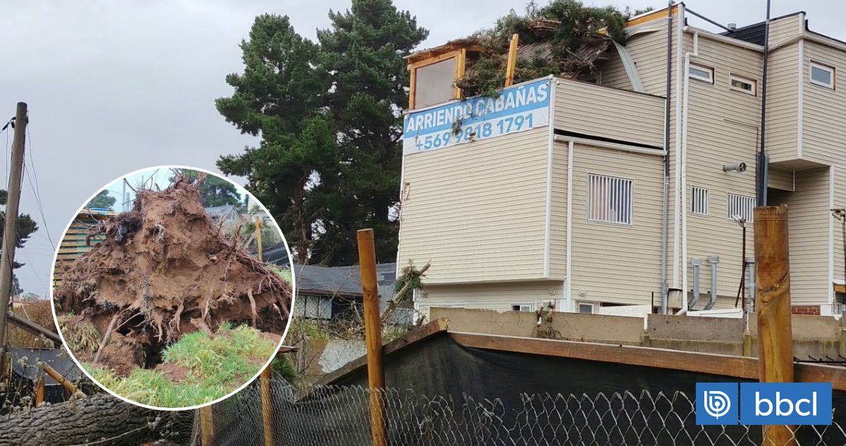 Mujer queda atrapada por árbol que cayó sobre vivienda de tres pisos en Algarrobo