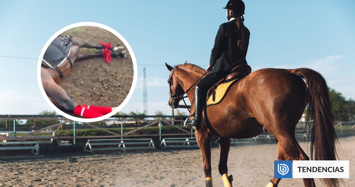 Cuatro yeguas mueren tras caer un rayo en una cancha de polo en Argentina: estaban atadas a un poste