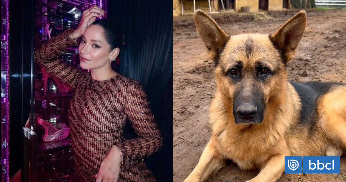 Kel Calderón anuncia recompensa para hallar a responsables de matar a su perro: fue evenenado