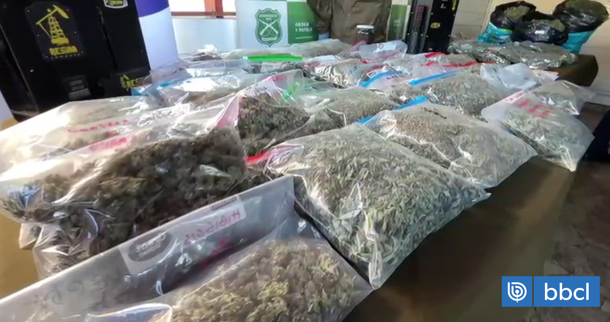 Tres detenidos deja operativo policial en Valdivia e incautan cerca de $220 millones en drogas