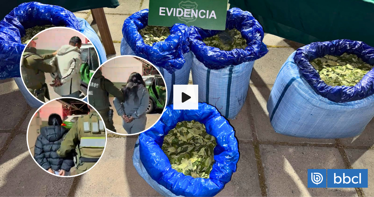 Detienen a seis bolivianos que tenían sacos con cerca de 100 kilos de hoja de coca en la capital