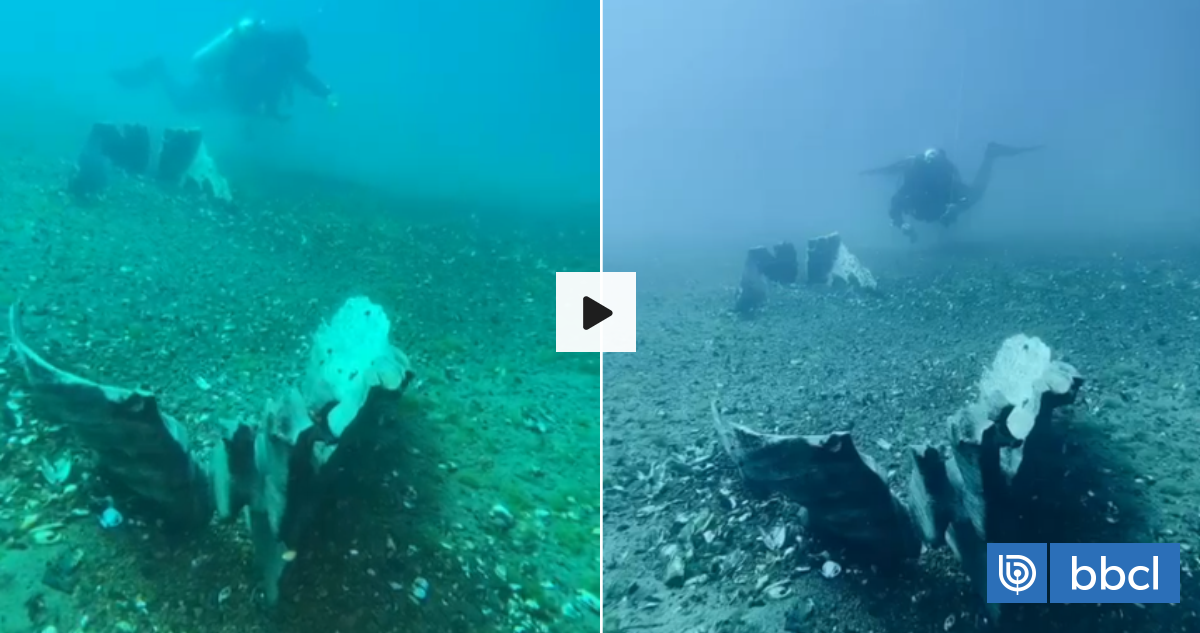 VIDEOS | Hallan embarcación ancestral Wampo, de más de 300 años, en profundidades del Lago Llanquihue