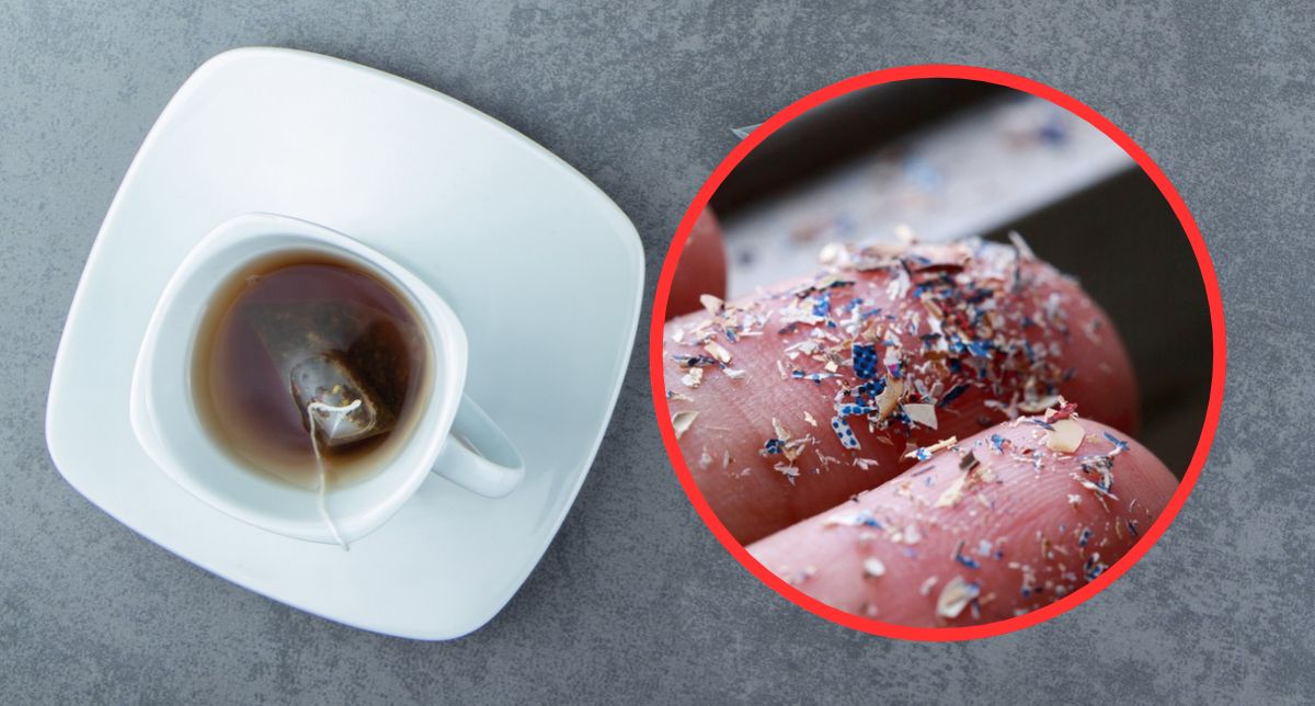 El riesgo del té en bolsitas: Detectan miles de microplásticos y sustancias químicas en una sola taza