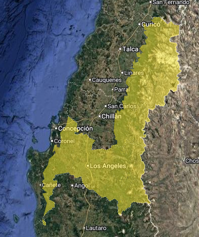 Estas 8 regiones del centro y sur cerrarían este jueves con tormentas eléctricas y granizos