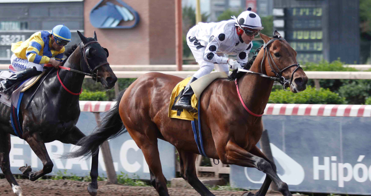 “Tremendo Macho” se adjudicó el Gran Clásico Radio Bío Bío en el Hipódromo Chile